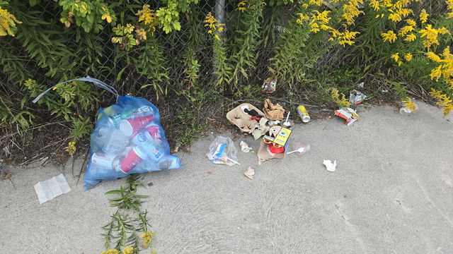 A bag of collected litter and scattered rubbish gathered at the shoreline during a cleanup