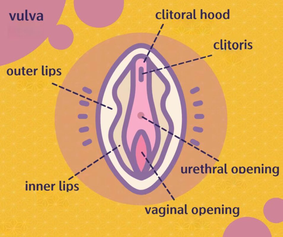 Ultimate Guide To Cunnilingus