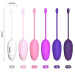 Silicone Kegel Vaginal Bulb Pack Of Six 6