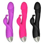 Ten Frequency Vibrations Stimulate The Vibrator 11