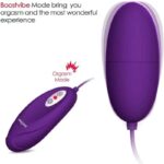 Waterproof 121frequency Silicone Love Eggwired Control Is Battery Swappable 4